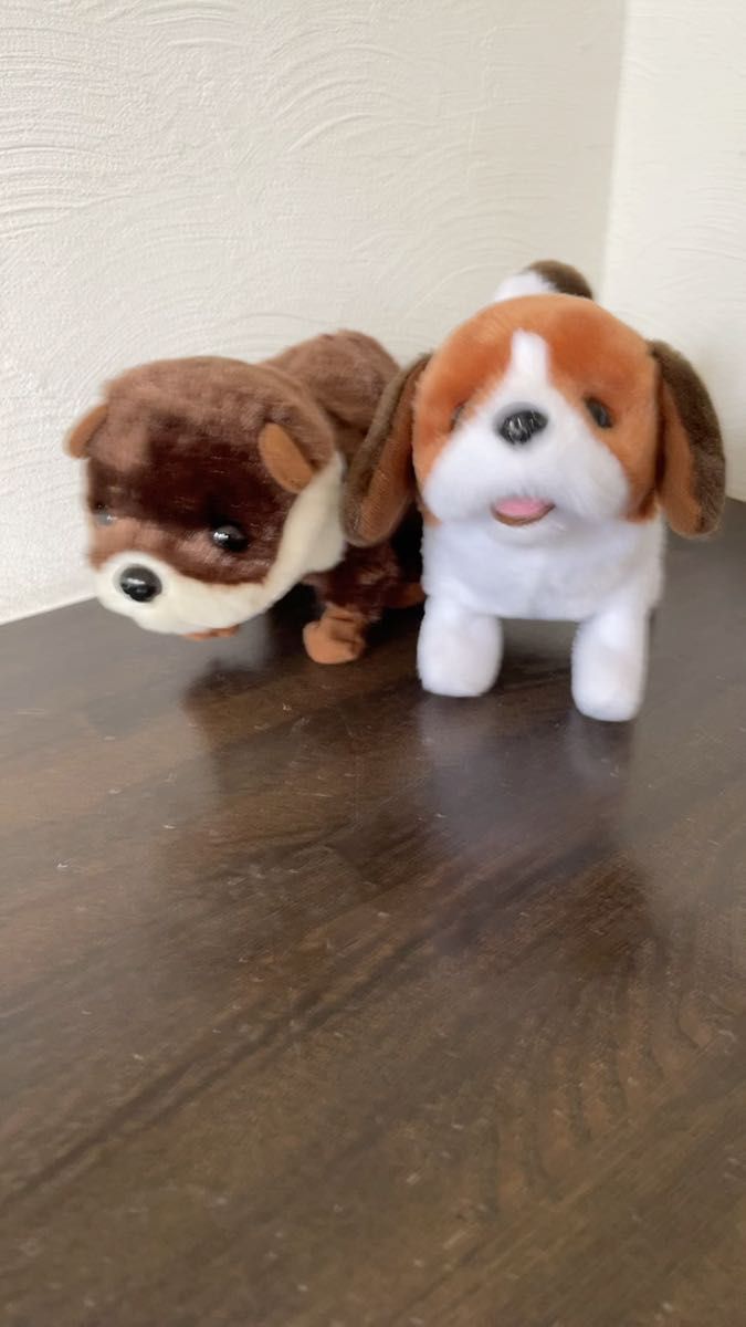 イワヤ あかちゃんシリーズ あかちゃんビーグル あかちゃんカワウソ ぬいぐるみ おもちゃ 犬 カワウソ