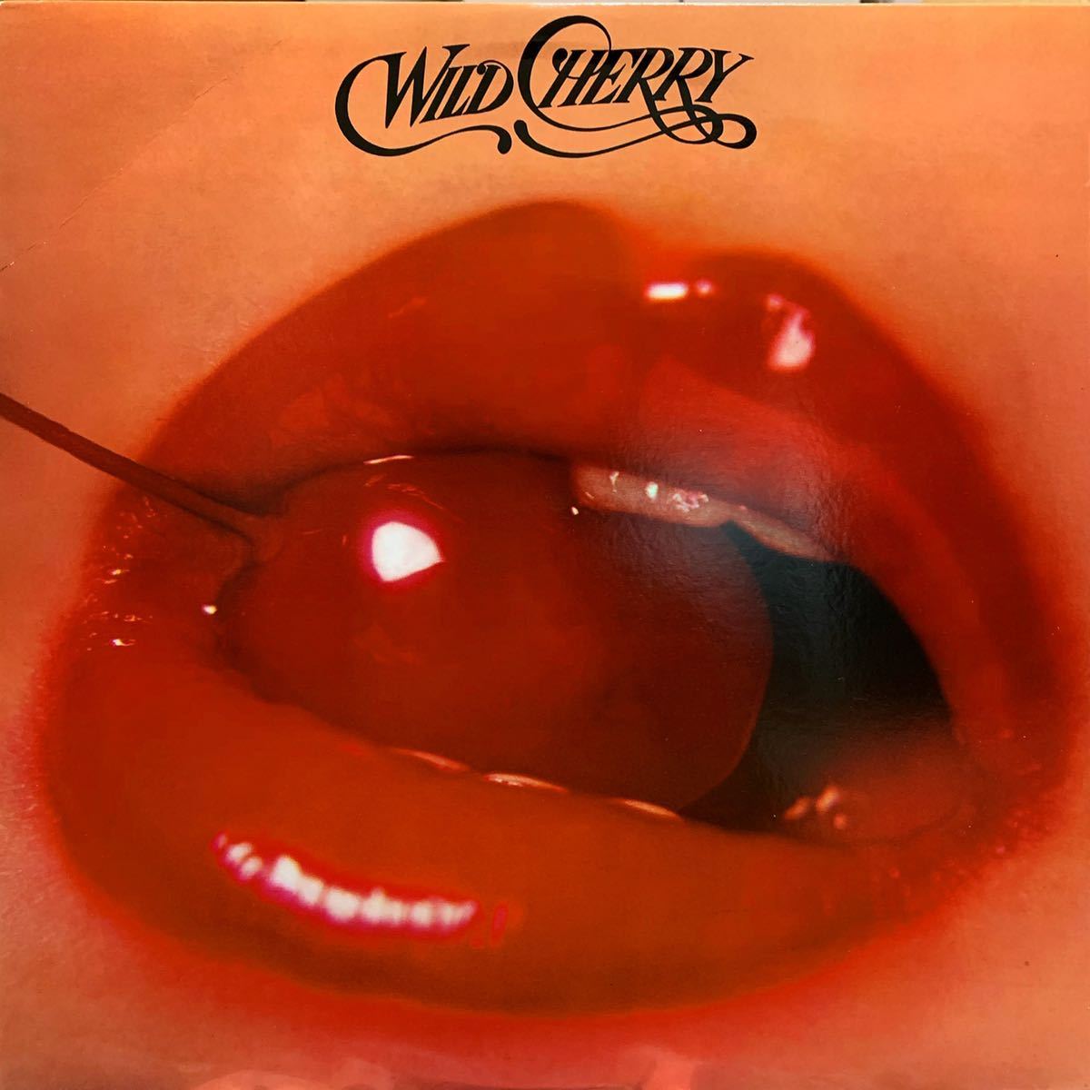 WILD CHERRY/PLAY THAT FUNKY MUSIC/THE LADY WANTS YOUR MONEY/DON'T GO NEAR THE WATER/NOWHERE TO RUN/I FEEL SANCTIFIED/SUBURBIA/MUROの画像1