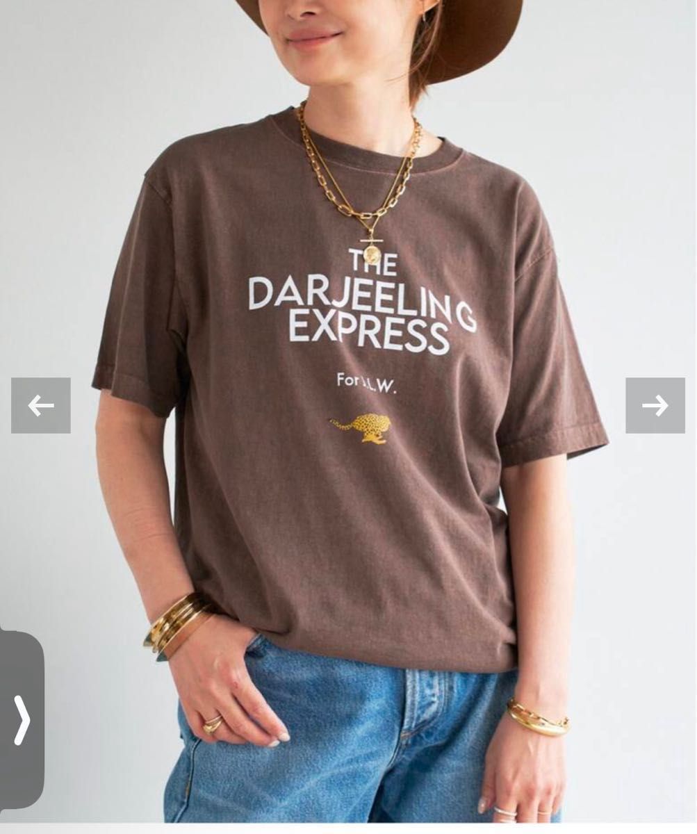 美品ドゥーズィエムクラス DARJEELING Tシャツ ブラウン Deuxieme Classe DARJEELING Tシャツ ブラウン 新品・未使用