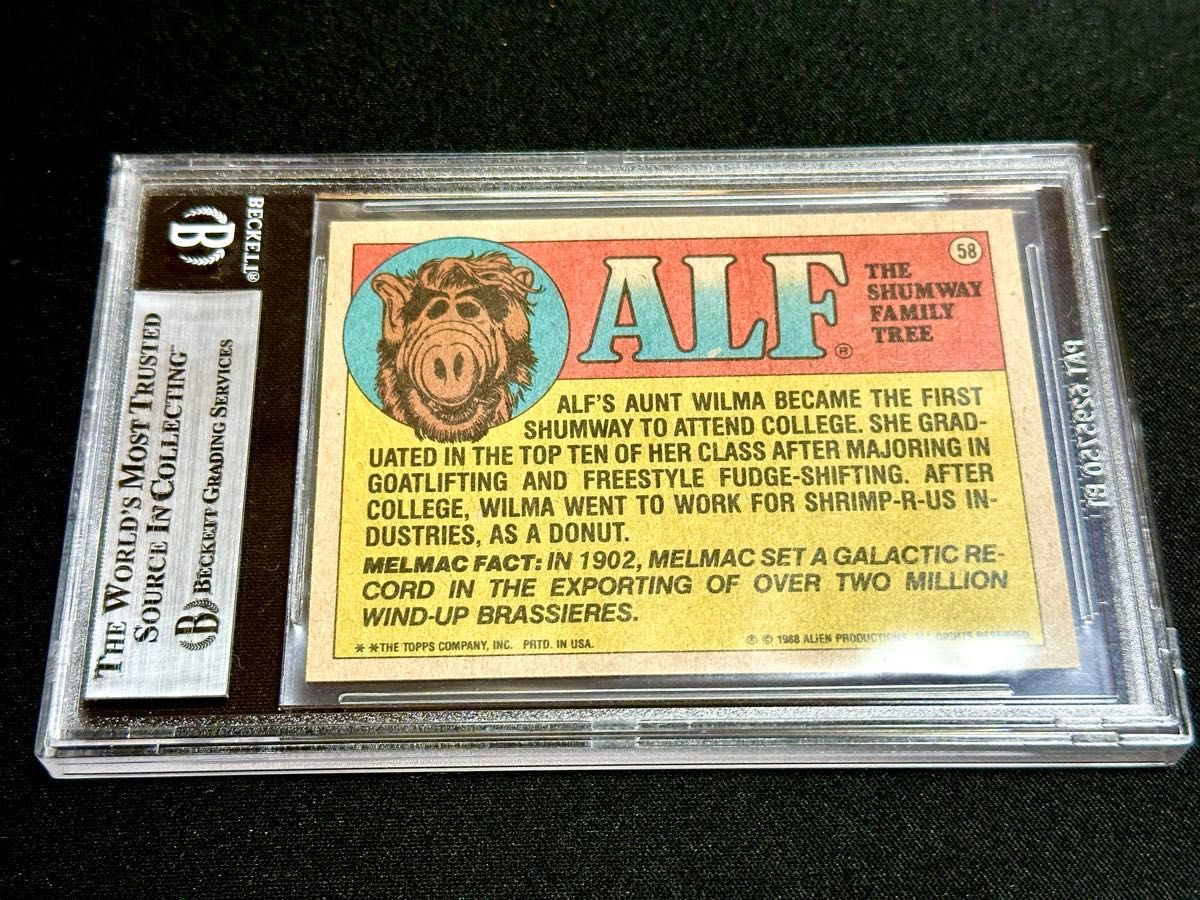 【BECKETT認証】ALF声優 Paul Fusco サイン アルフ本人直筆 BECKETT認証】ALF声優 Paul Fusco サイン アルフ本人直筆①