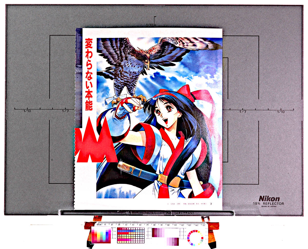 [Delivery Free]1994 SAMURAI SPIRITS(Nacoruru)Game Magazine Cutout(Nobuteru Yuuki)サムライスピリッツ ナコルル 結城 信輝[tag8808]_画像4