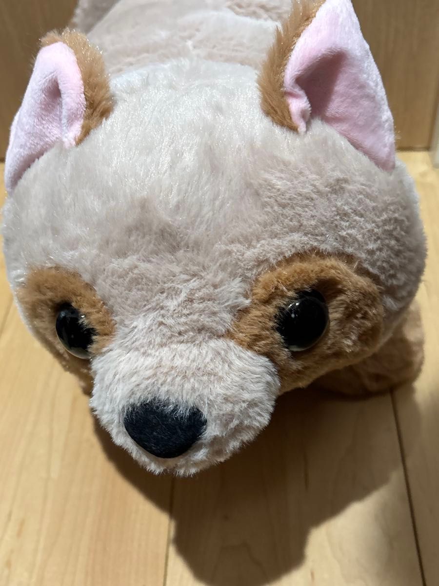 たぬきのぽんぽん BIG ぬいぐるみ 約33cm たぬき ぽんぽん ぽんみ BIG ぬいぐるみ 動物 約33cm 最安