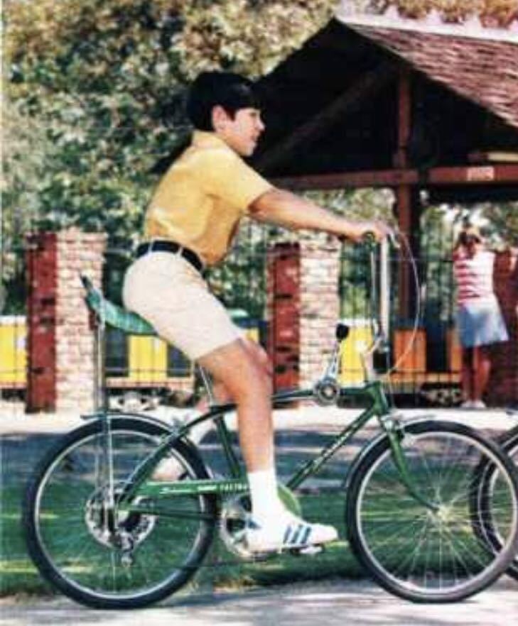 送料込 ビンテージ チェーンガード 自転車 schwinn stingray 送料込 ビンテージ チェーンガード 自転車 schwinn stingray
