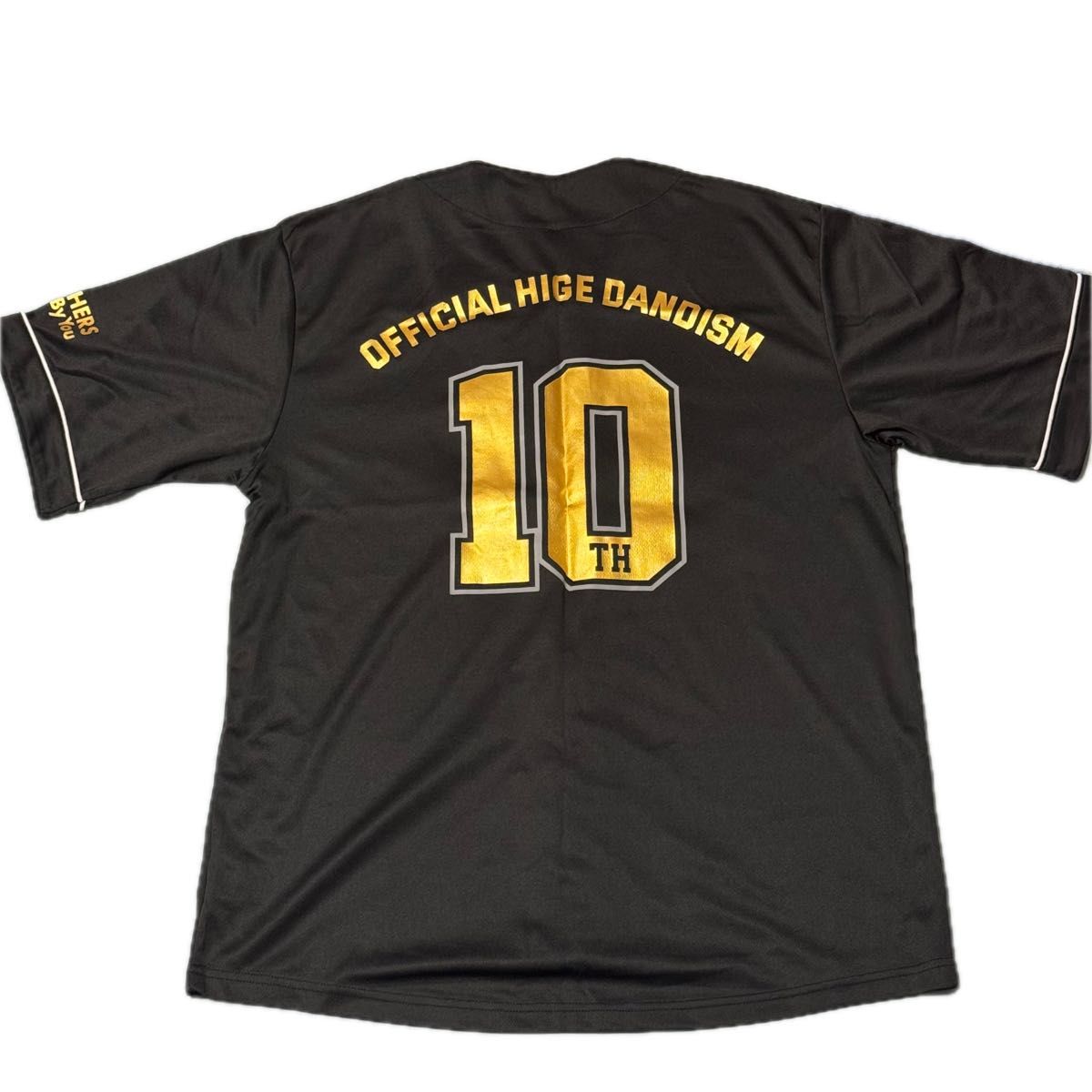 Official髭男dism ベースボールシャツ 10周年 Mサイズ Official髭男dism ヒゲダン ファンクラブ限定 FC限定 10周年