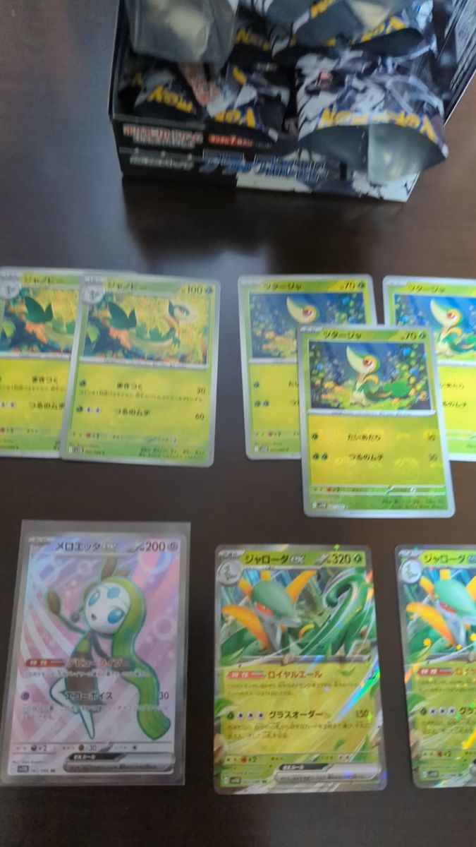 ポケモンカードゲーム ポケモンカード メロエッタex マスターボールカード ツタージャ ジャノビー ジャローダex sr rr