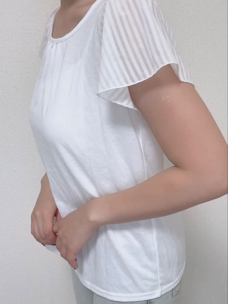 半袖 Tシャツ 白