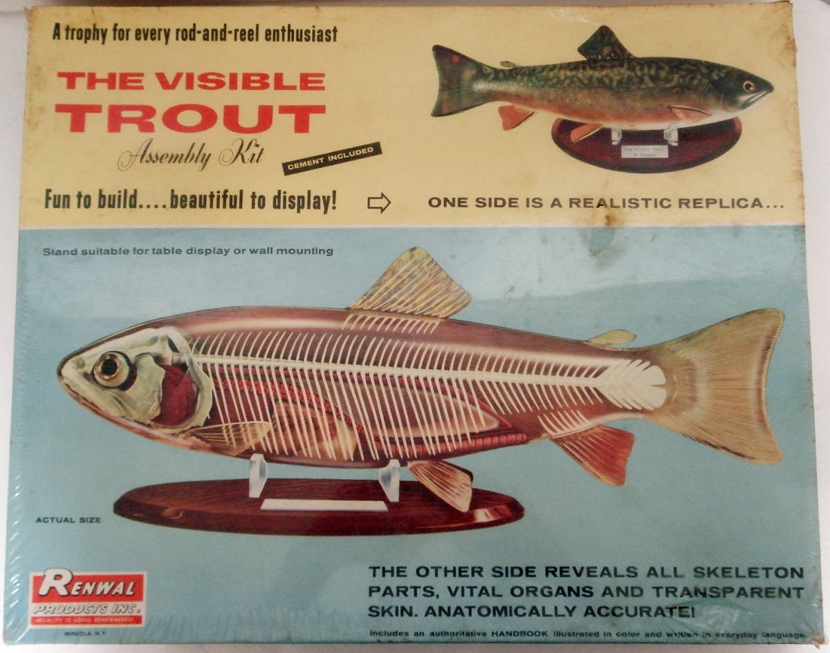 0RENWAL Len wall |bijibru trout (1/1) shield unopened goods 