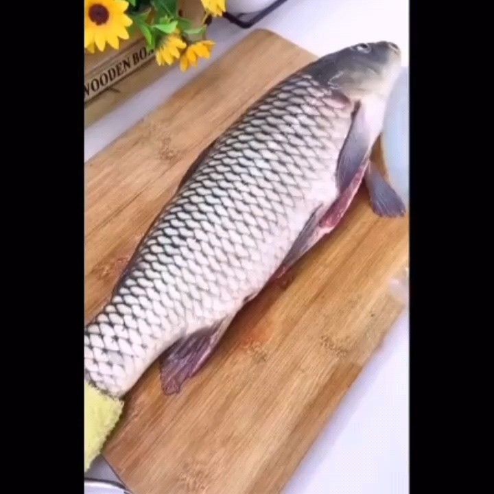 ウロコ取り 鱗取り うろこ取り 飛び散らない 魚 調理 姿盛り お刺身