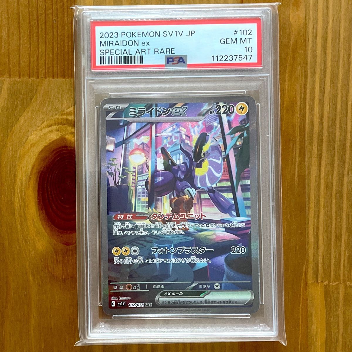 コライドン ミライドン PSA10 連番 SAR ポケモンカード PSA鑑定 コライドンex ミライドン SAR PSA10 連番 ポケモンカード 鑑定品