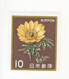 コイル切手　フクジュソウ　１０円×１枚　未使用品_画像1