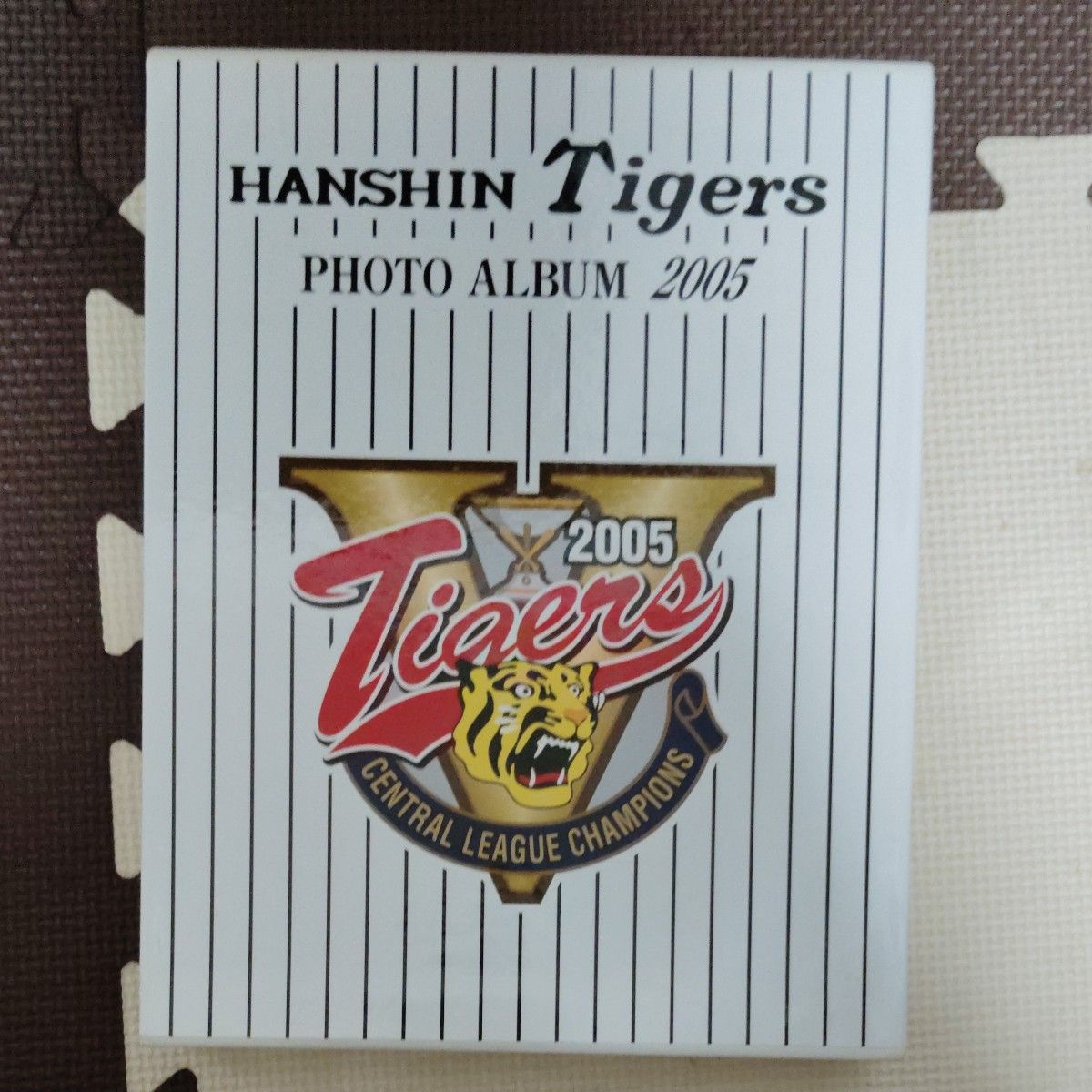 HANSIN Tigers 2005 PHOTO ALBUM Ōsaka - Nishi: Dome-mae