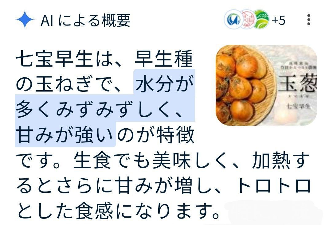 新玉ねぎ　佐賀県産　しろいし玉ねぎ　早生七宝早生　減農薬　サラダ用玉ねぎ　産地直送　農家直送　9kg 10kg 規格外　訳アリ