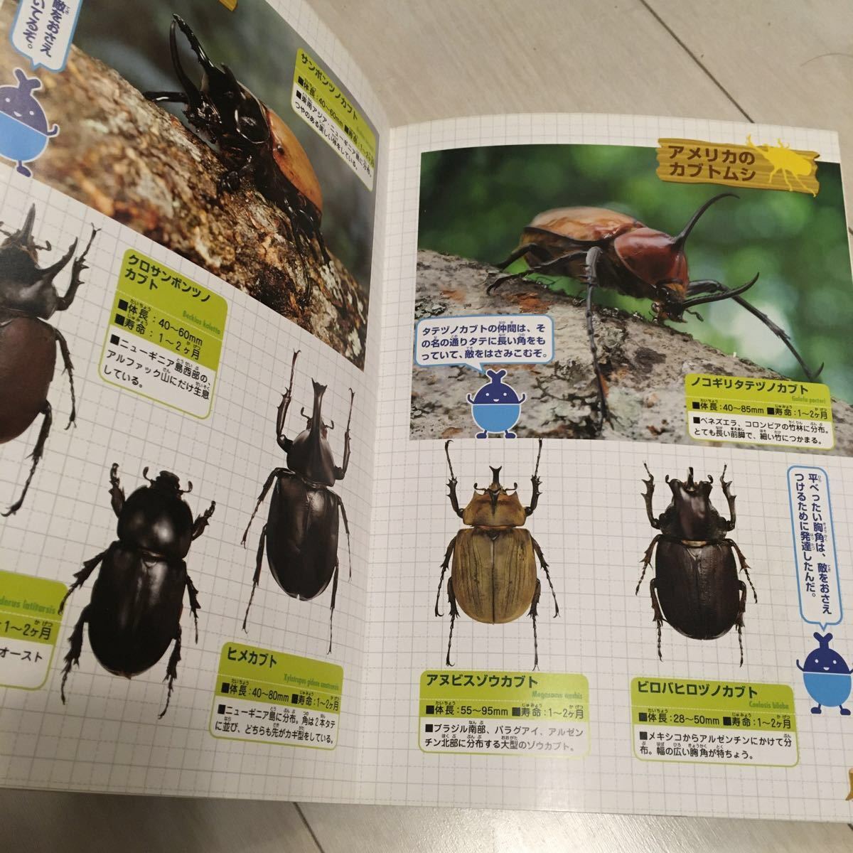 Paypayフリマ カブトムシ クワガタ 大集合 絵本 昆虫 生き物 図鑑 Paypayフリマ カブトムシ クワガタ 大集合 絵本 昆虫 生き物 図鑑