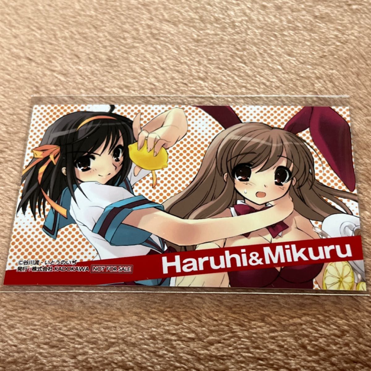 バニーヒロインズドリーム 名刺風ミニブロマイド 涼宮ハルヒ&朝比奈みくる 4枚 涼宮ハルヒ 朝比奈みくる 名刺風ミニブロマイド カドスト購入
