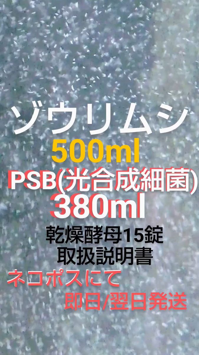 ゾウリムシ種水500ml/PSB380mm(パウチパック容器仕様)乾燥酵母15錠お試しセット