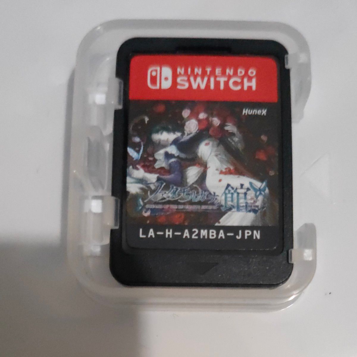 【Switch】 ファタモルガーナの館 -DREAMS OF THE REVENANTS EDITION-