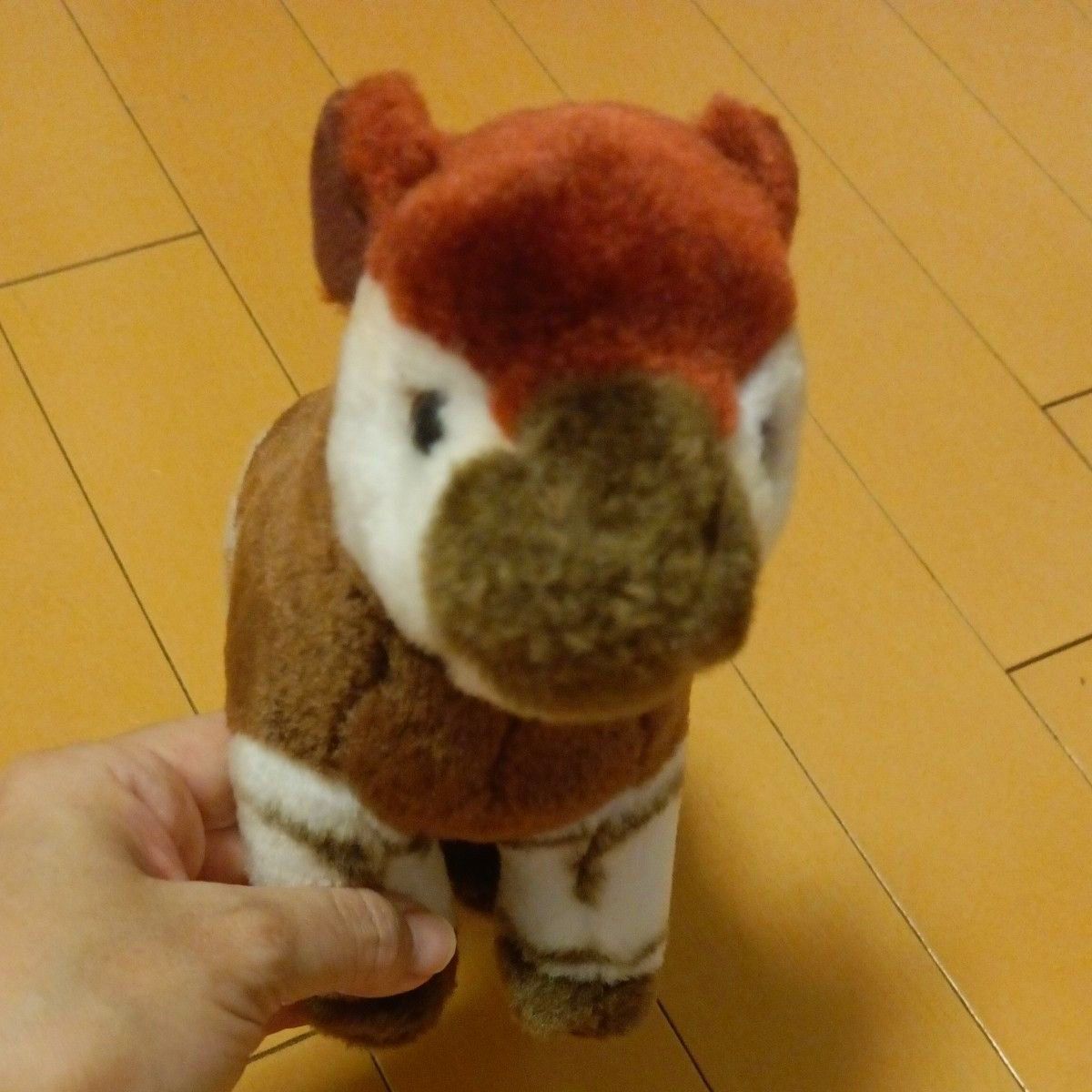 ズーラシア オカピ ぬいぐるみ 横浜 ズーラシア 動物園｜Yahoo!フリマ