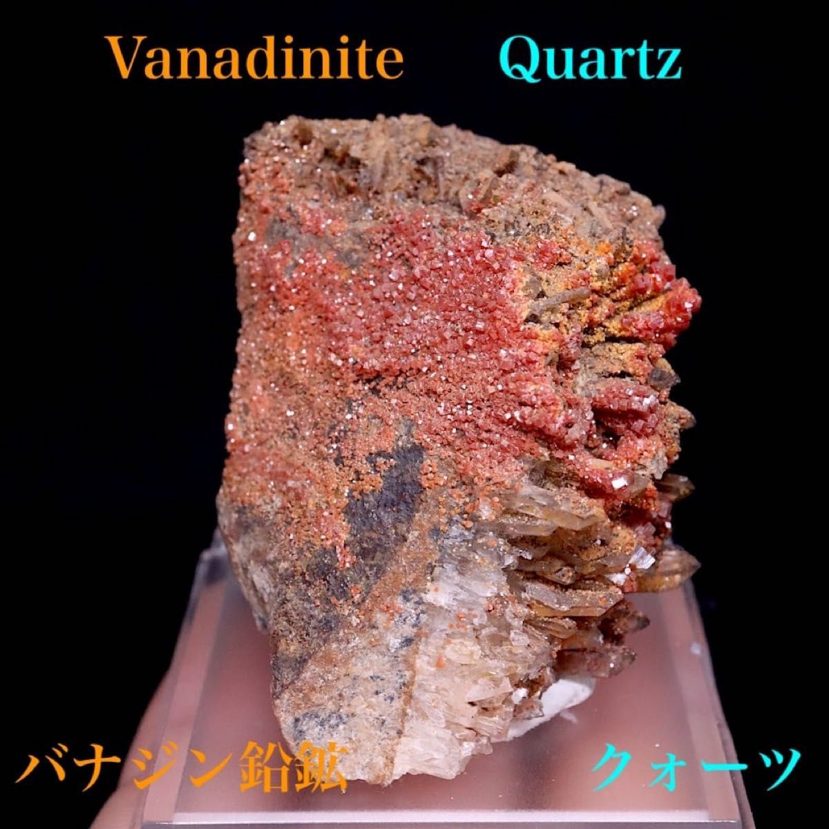 バナジン鉛鉱 クォーツ 褐鉛鉱 バナジナイト 40 2g VND088 鉱物