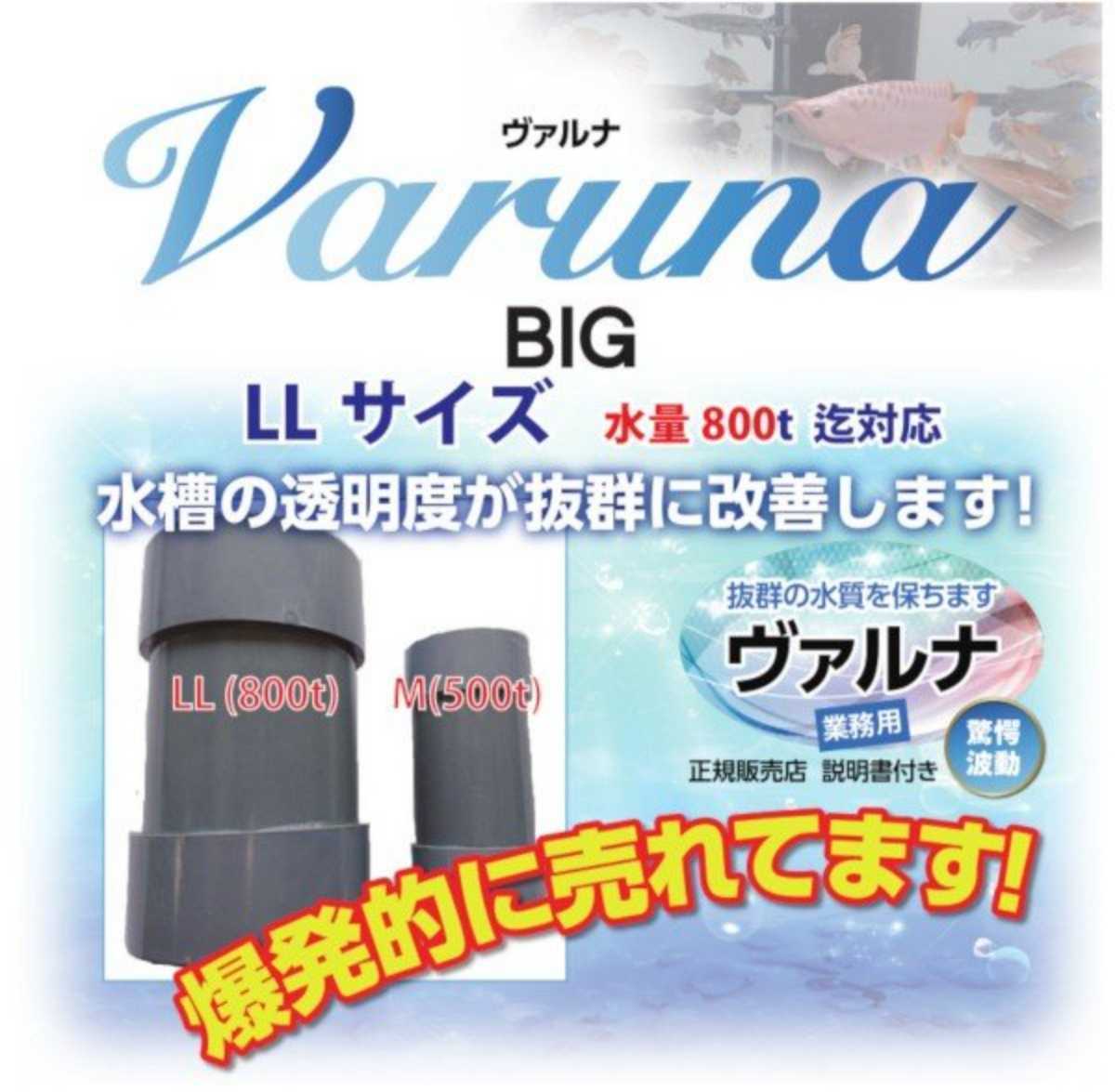 錦鯉の池が綺麗になります!【ヴァルナ超特大サイズ】透明度が 錦鯉の池が綺麗になります!【ヴァルナ超特大サイズ】透明度が
