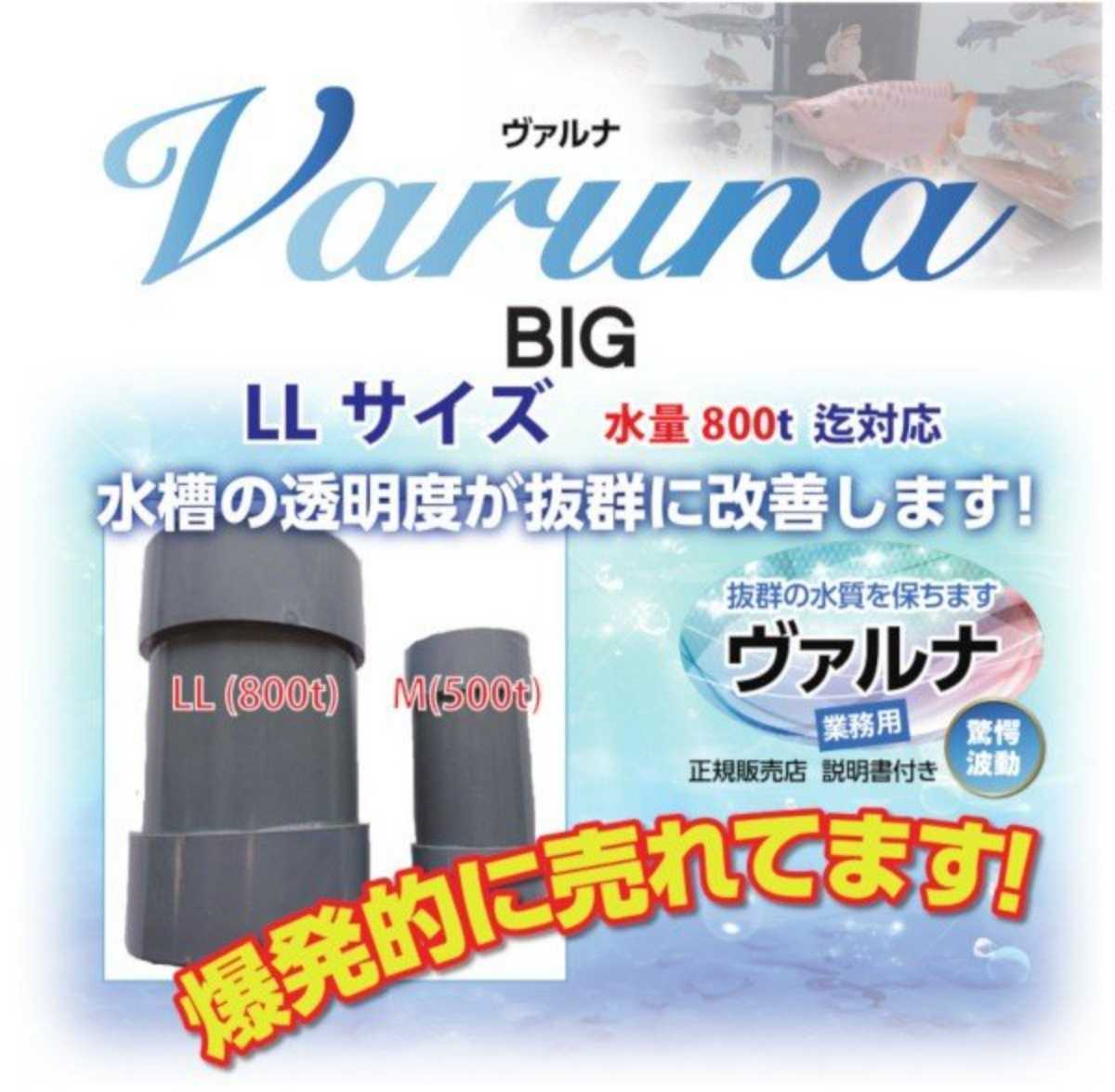 錦鯉の池が綺麗になります！【ヴァルナ超特大サイズ】透明度がアップし病原菌や感染症を強力抑制☆生体が活性化！800トン浄化☆5年間持続