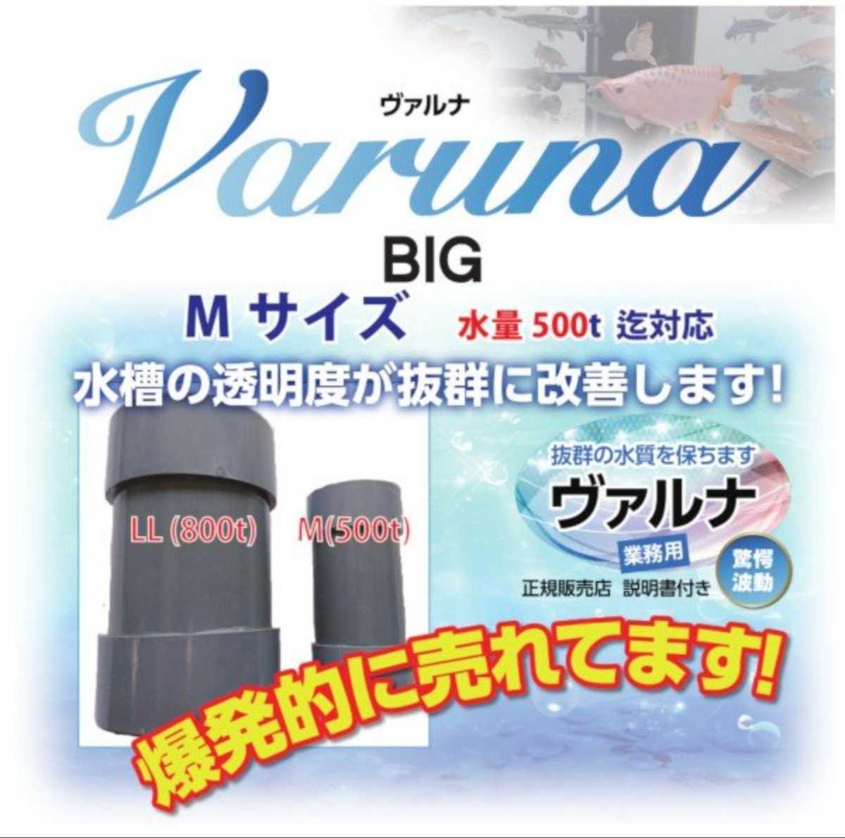 美しい 水質改善に最適! 水交換不要で水槽に入れるだけでOK!感染症や