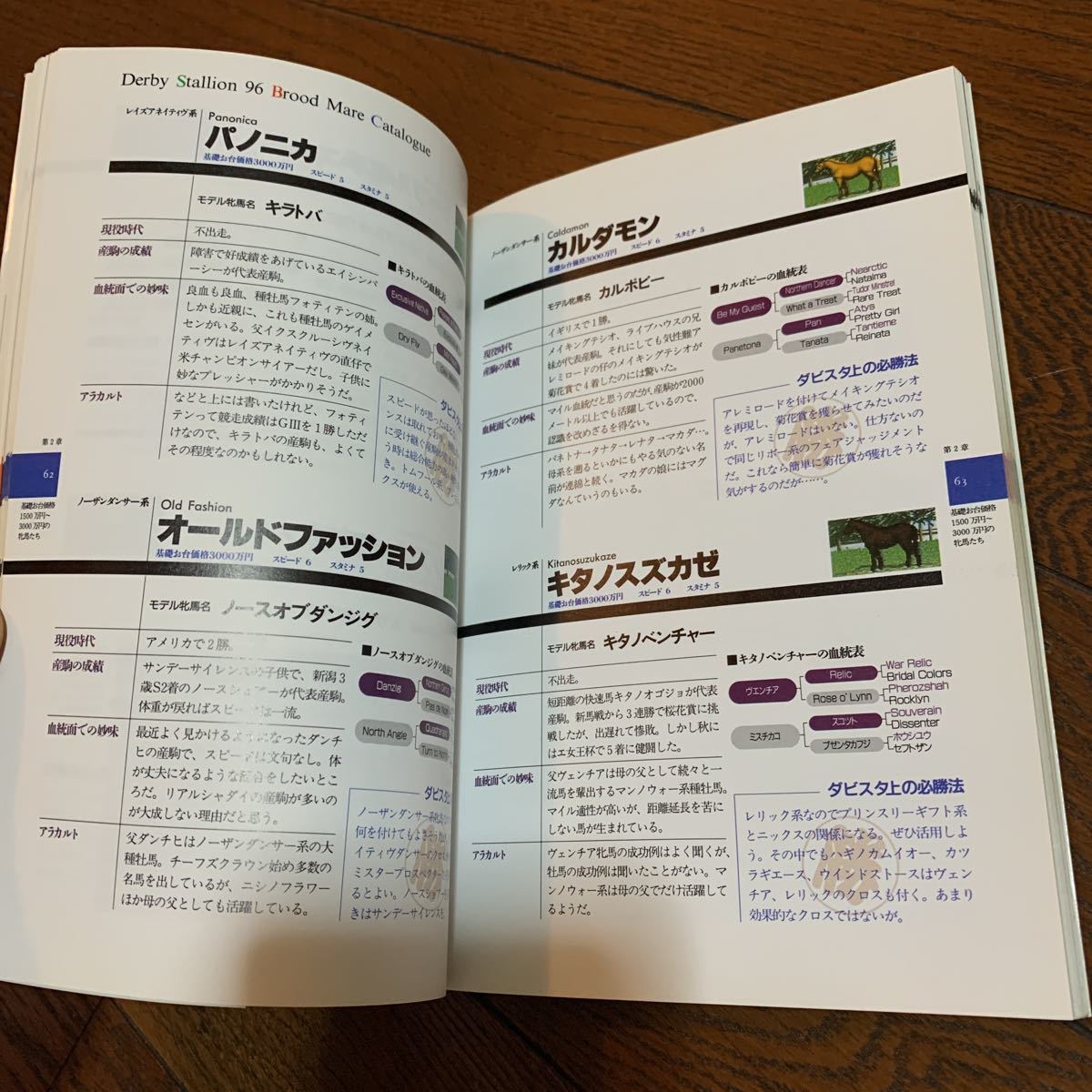 ヤフオク 中古 スレ傷あり 繁殖牝馬 ダービースタリオン9