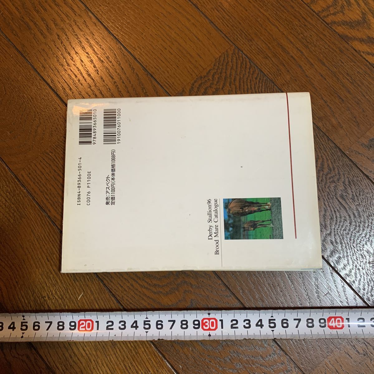 中古 スレ傷あり 繁殖牝馬 ダービースタリオン96 カタログ 攻略本 ファミ通 池畑成功 Buyee Buyee 提供一站式最全面最專業現地yahoo Japan拍賣代bid代拍代購服務 Bot Online 中古 スレ傷あり 繁殖牝馬 ダービースタリオン96 カタログ 攻略本 ファミ通 池畑成功 Buyee Buyee 提供一站式最全面最專業現地yahoo Japan拍賣代bid代拍代購服務 Bot Online