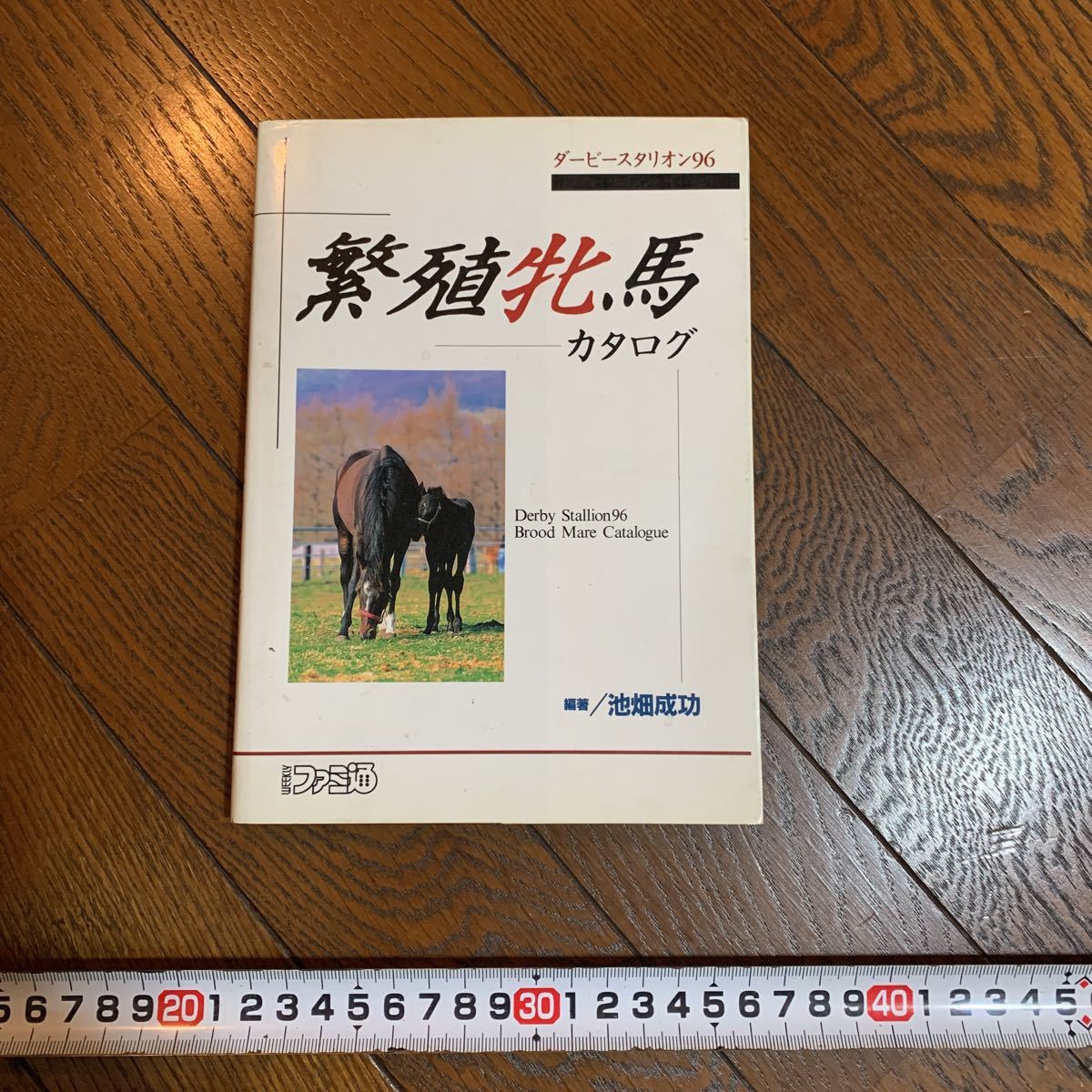 中古 スレ傷あり 繁殖牝馬 ダービースタリオン96 カタログ 攻略本 ファミ通 池畑