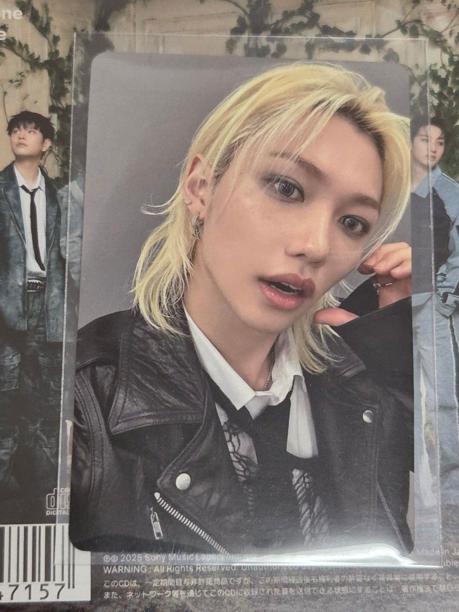 Stray Kids Hollow タワレコ 渋谷 限定 トレカ フィリックス Straykids Hollow タワレコ渋谷限定トレカ フィリックス|Yahoo