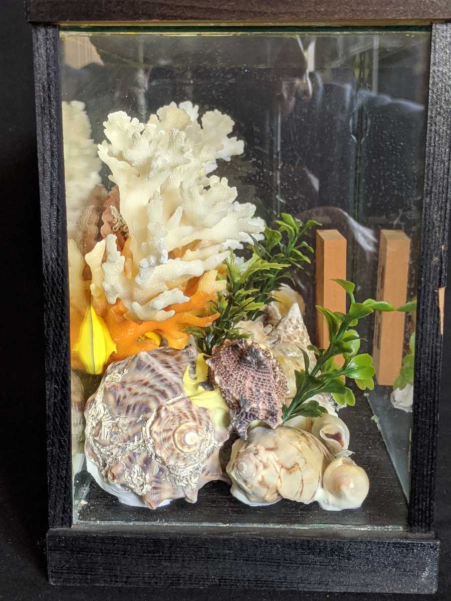 昭和レトロ 珊瑚 白珊瑚礁 サンゴ貝殻 ガラスケース 置物 標本 昭和レトロ 珊瑚 白珊瑚礁 サンゴ貝殻 ガラスケース 置物 標本