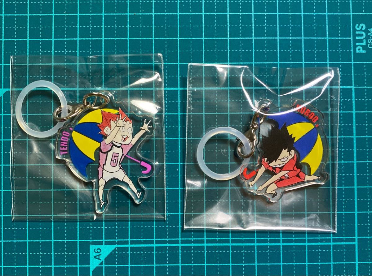 ハイキュー　アンブレラチャームコレクション