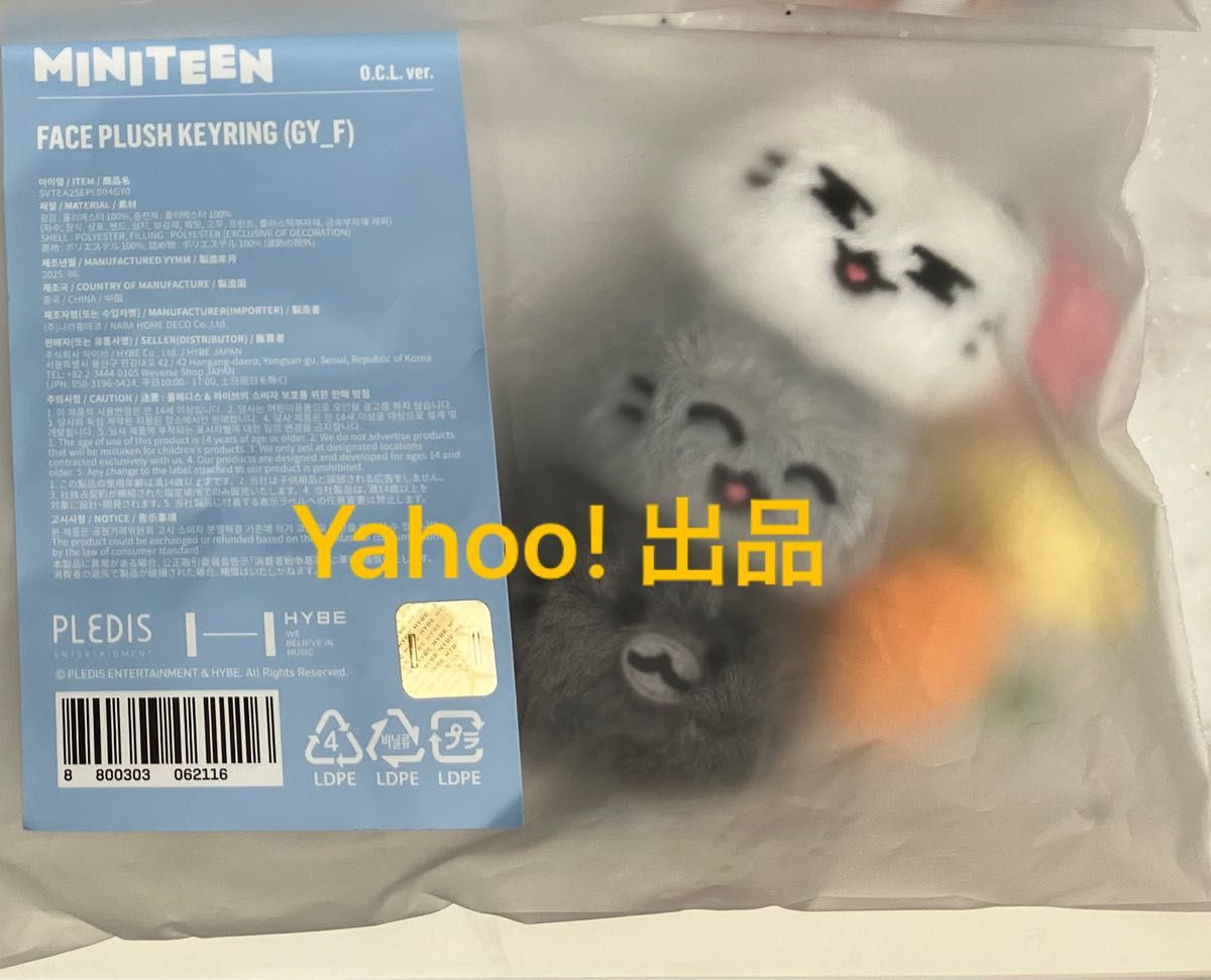 MINITEEN HOUSE PARTY ポップアップ ポーチ ジュン SEVENTEEN MINITEEN HOUSE PARTY CHARACTER POP UP FACE