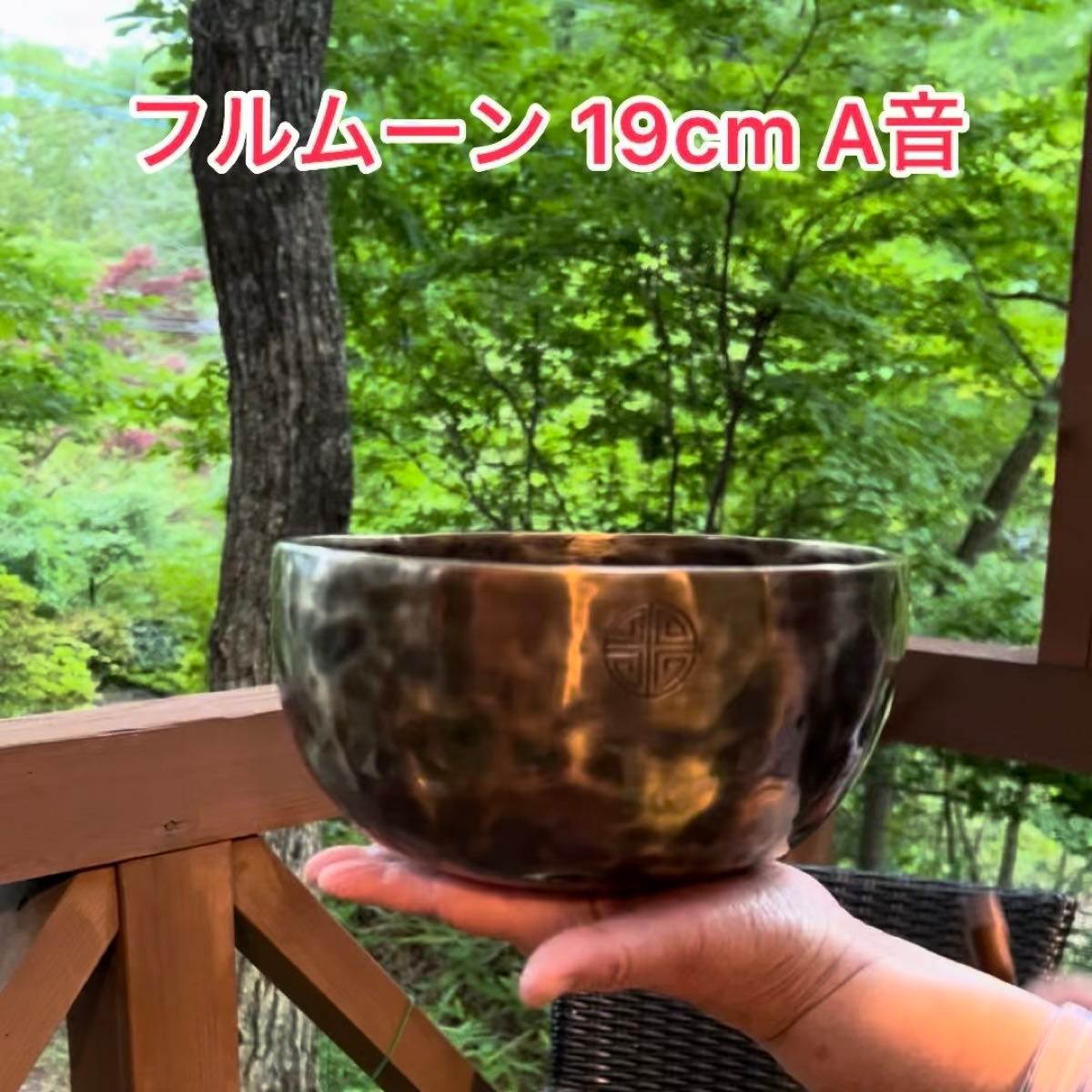 フルムーン タイガーディム 19cm A音