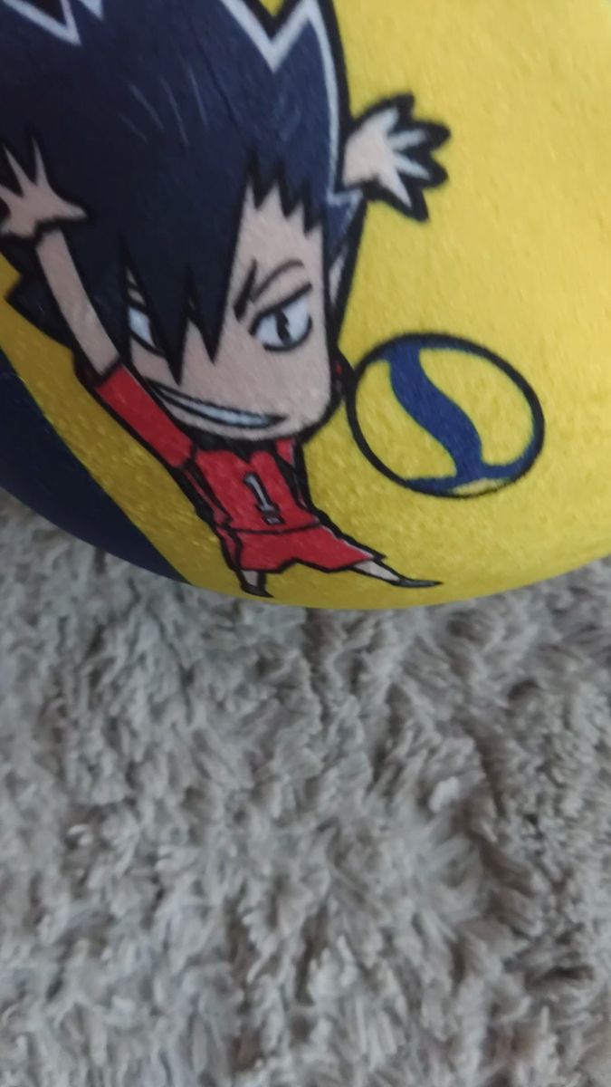 ハイキュー!! 孤爪研磨 黒尾鉄朗 MIKASA クッション