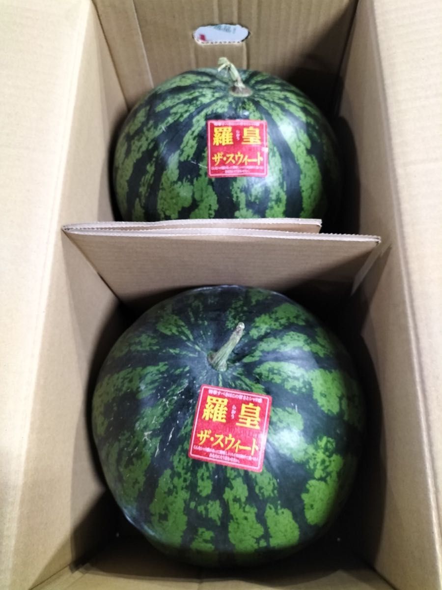 熊本県産 植木スイカ 羅皇ザ・スウィート 1玉約5~6kg 2玉入り 家庭用
