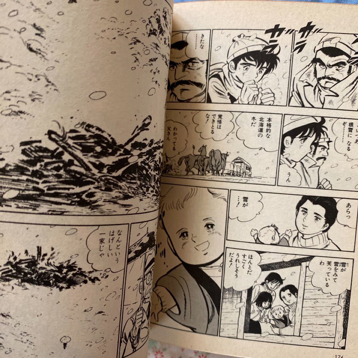 本宮ひろ志　漫画本2冊