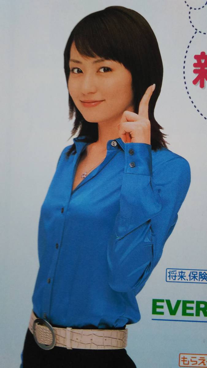 ◆矢田亜希子　Aflac　案内書兼申込ハガキ　３つ折り◆　_画像1