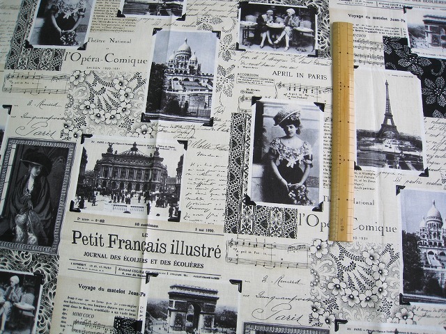 プリントコットン Timeless Treasures Fabrics 110×50 パリの風景の画像9
