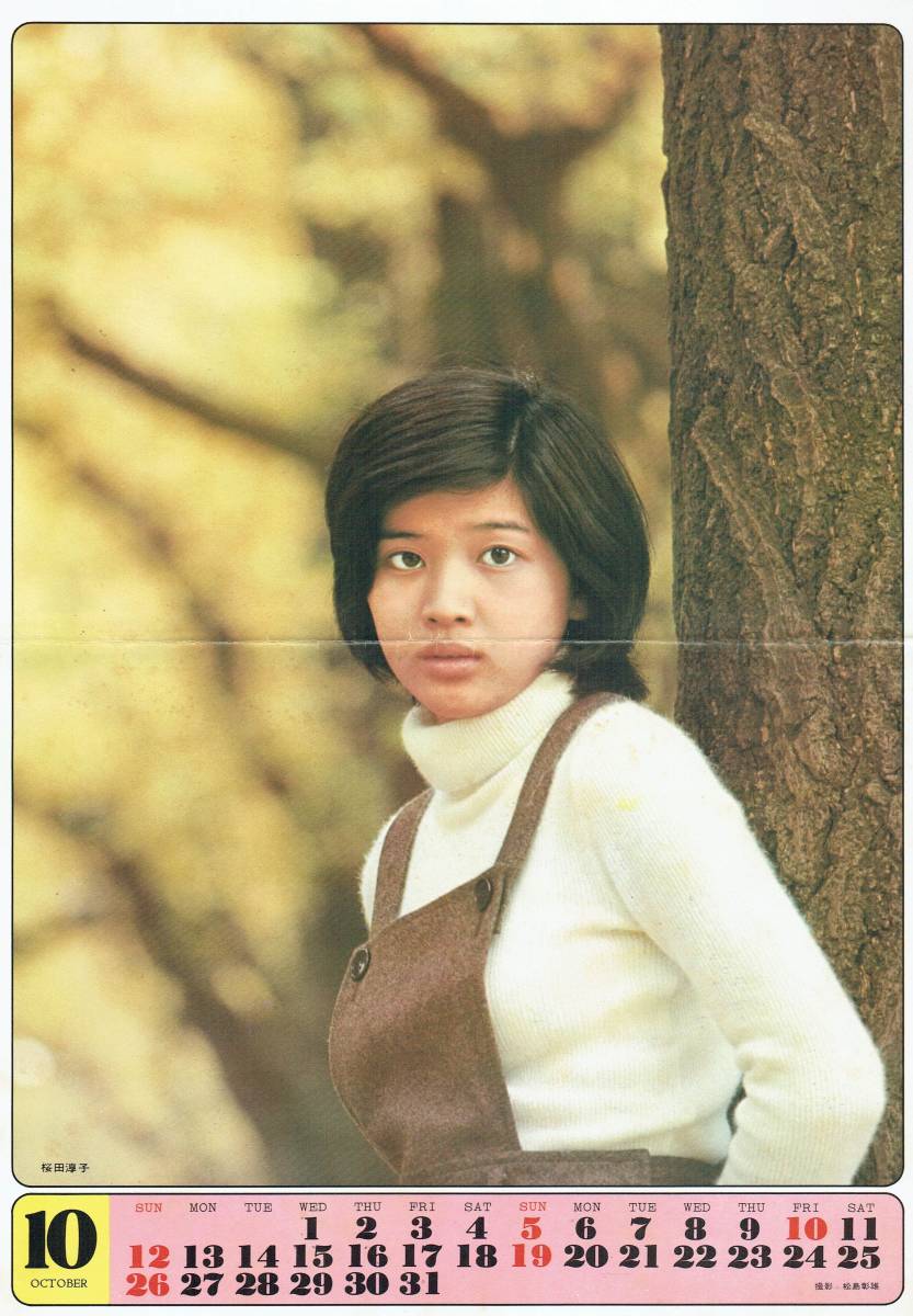 ヤフオク 1975年カレンダー 3月 10月 郷ひろみ伊藤咲子西