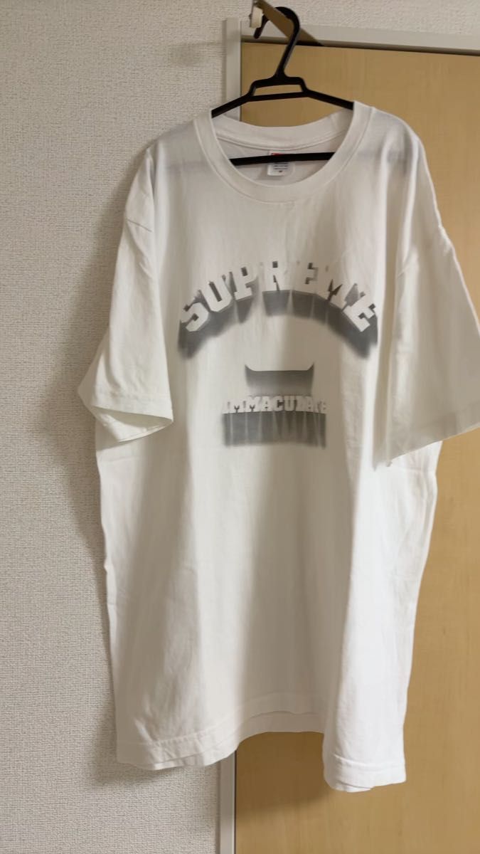 【美品】Supreme Immaculate Tee Tシャツ 白 ホワイト Mサイズ