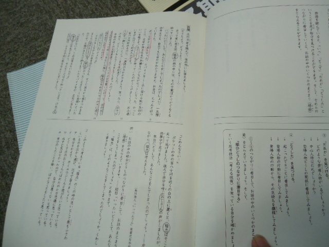 日能研　4年/小4　春期（標準）夏期（標準）/冬期講習（発展）テキスト　3冊　2017年度版　塾生専用_画像3