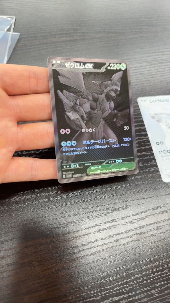 BWRゼクロム レシラム