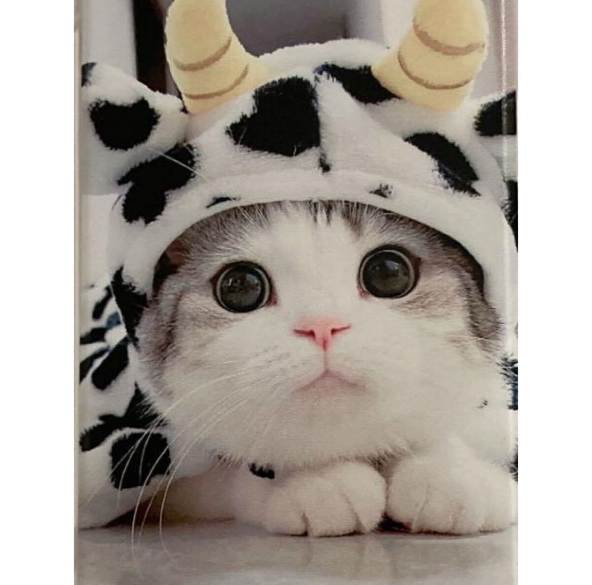 Society6 iPhoneケース モダン 動物 アニマル 猫 新品送料無料 iphoneケース 7/8/SE2 3用 猫のスマホケース cat