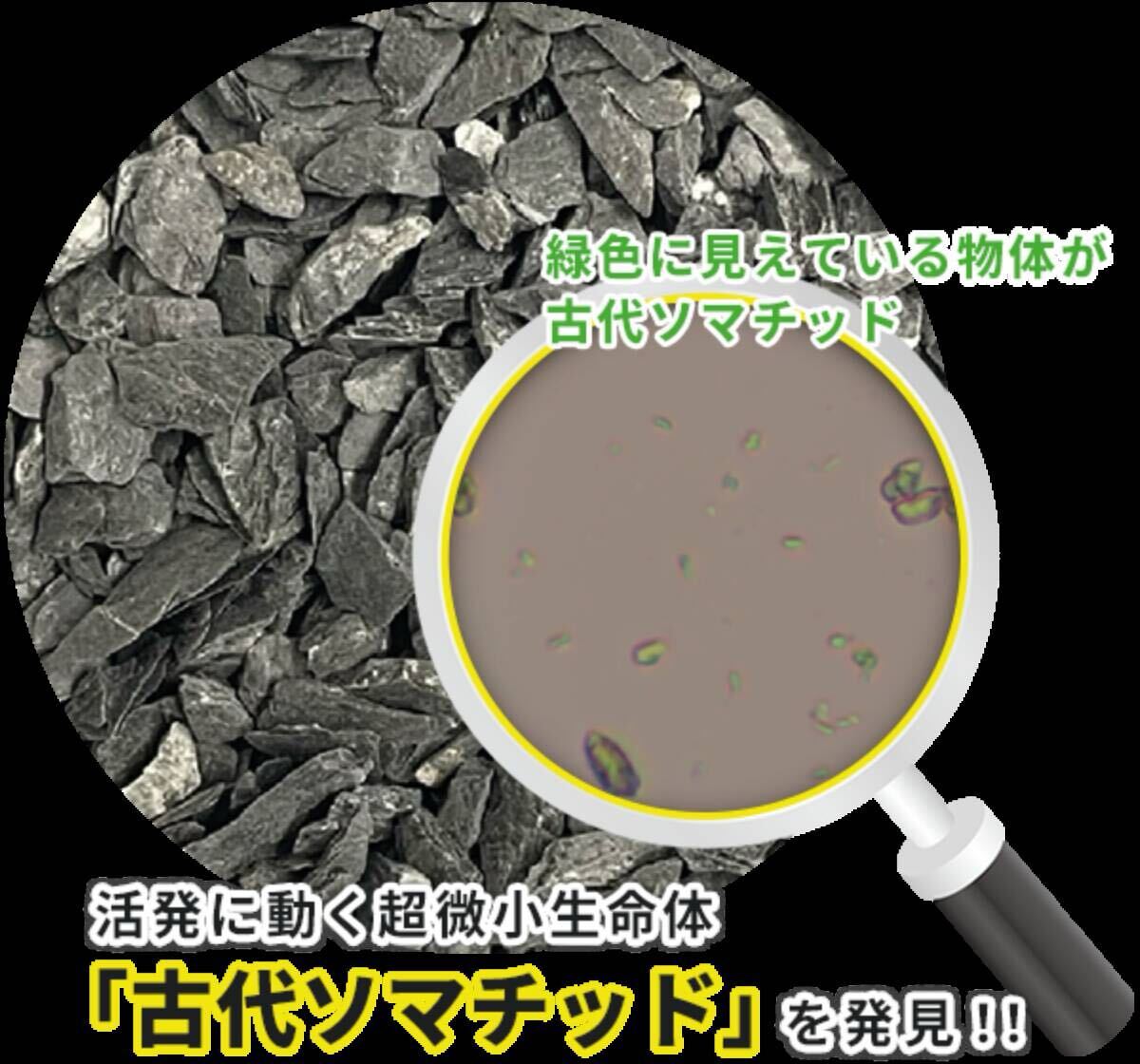 美容・健康補助鉱石【Somachiソマチ】 超微小生命体「古代ソマチッド」含む石 新品未使用】美容健康補助鉱石 古代ソマチッド 石タイプ