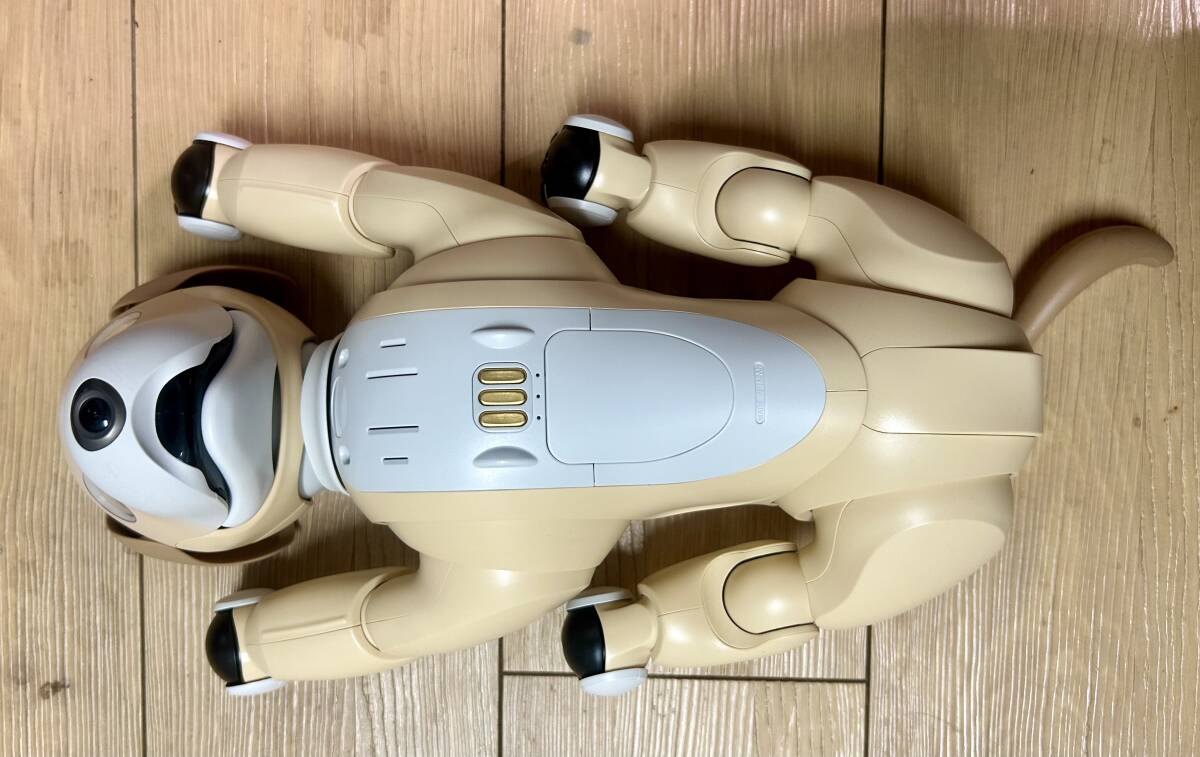 [希少・販売終了] aibo 2024年カラーモデル きなこ エディション ソニー aiboの2024年カラーモデル「きなこエディション」発表