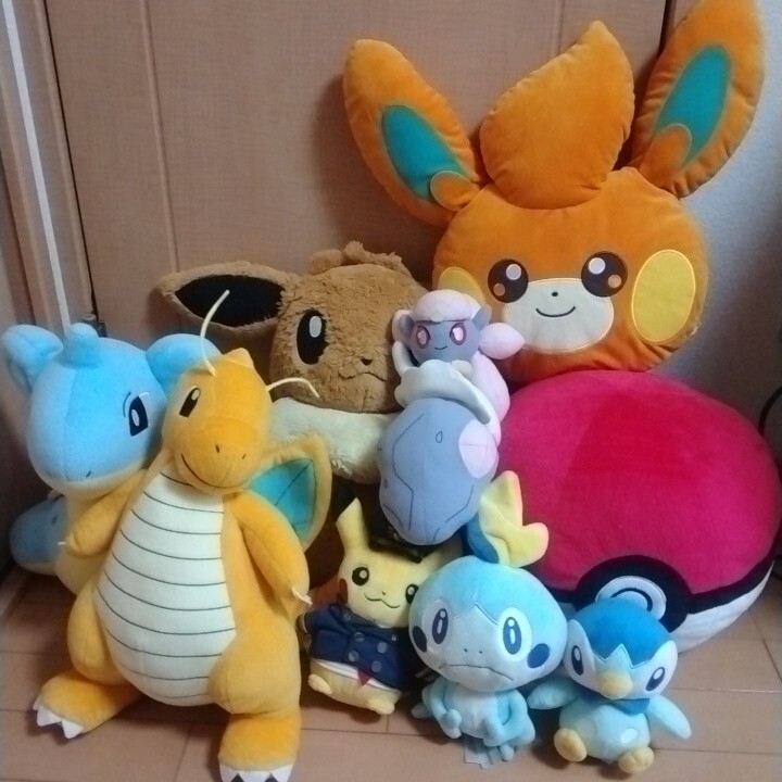 ポケモンぬいぐるみ 大きめ多数 10点セット ポケモンセンター 三英 アミューズ ポケモンぬいぐるみ 大きめ多数10点セット ポケモンセンター三英