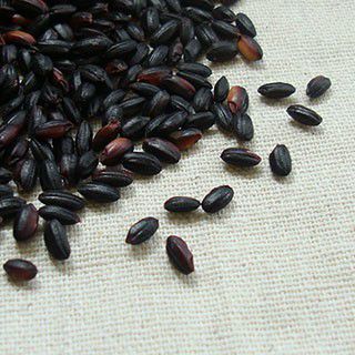 黒米 500g 2024年産 令和6年産 巖手県産 送料無料 メール便 [M便 1/2]