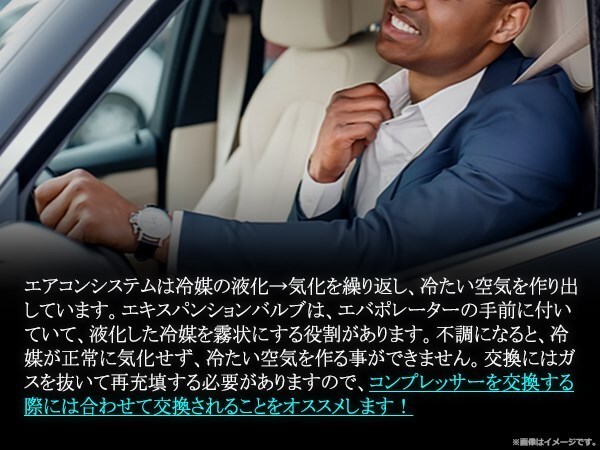 A/C кондиционер расширительный клапан eki хлеб Dodge Ram van 94-03 B150 B250 B350 задний 5.2L(Y)/5.9L(Z)