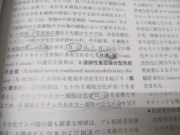 エルゼビアジャパン 分子細胞免疫学 原著第10版 2023 アバス