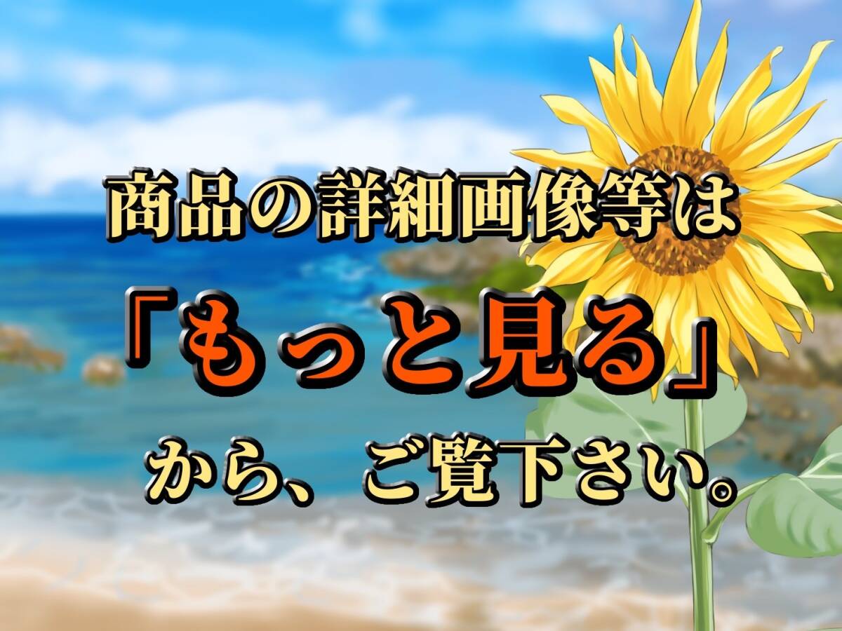 ルパン三世 組立式フィギュア 作戦会議 全3種 7-T152 ルパン三世 組立式フィギュア 作戦会議 全3種 ルパン 峰